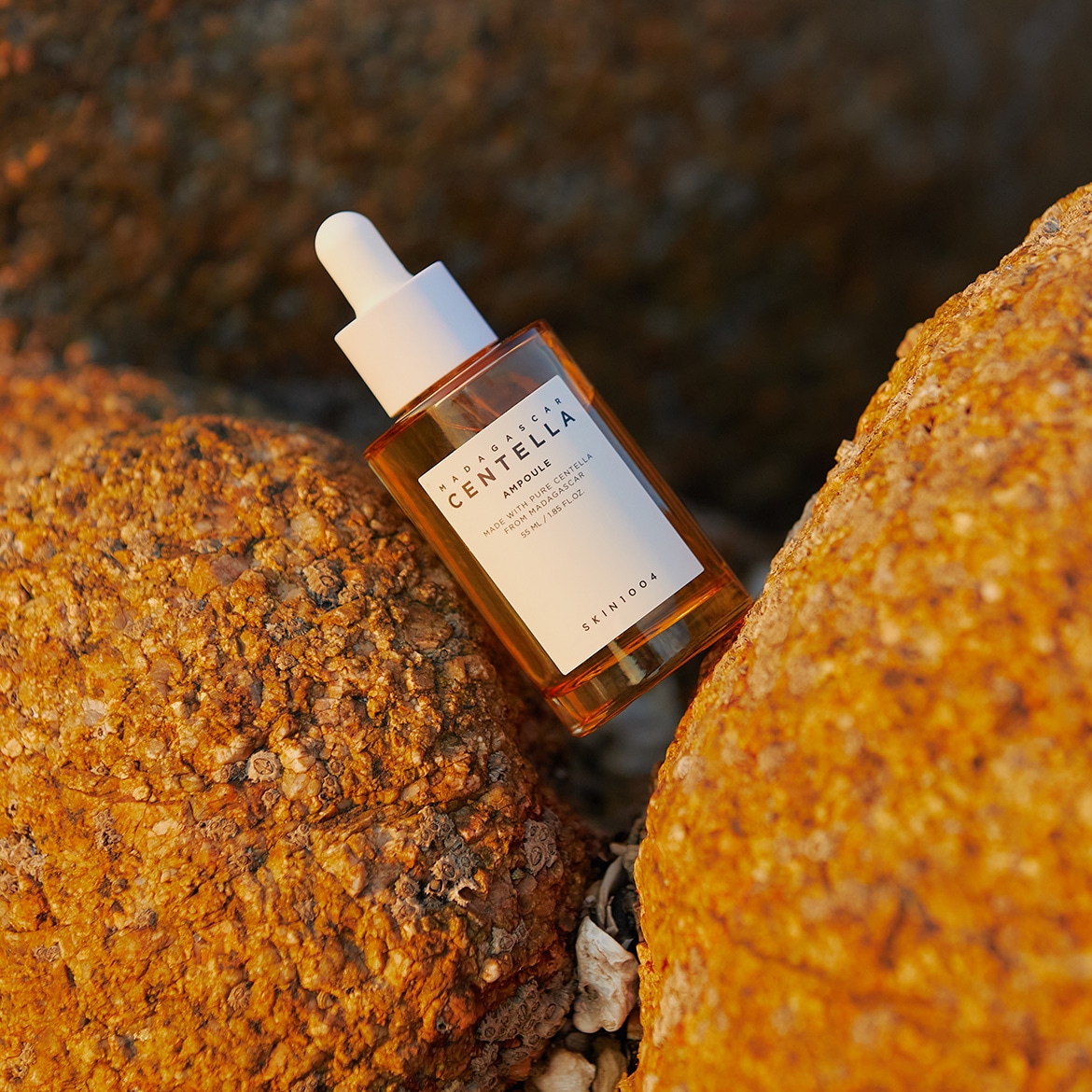 Flacone ambrato di siero viso Madagascar Centella Ampoule di Skin1004, con etichetta bianca e pipetta, appoggiato su rocce dorate.
