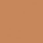 CF24 - Amber Beige