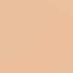 22N - SHELL BEIGE
