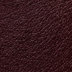 TOAST