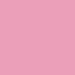 04 PITAYA