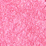 HL01 Fever Garnet