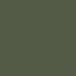 4 - GREEN FOREST