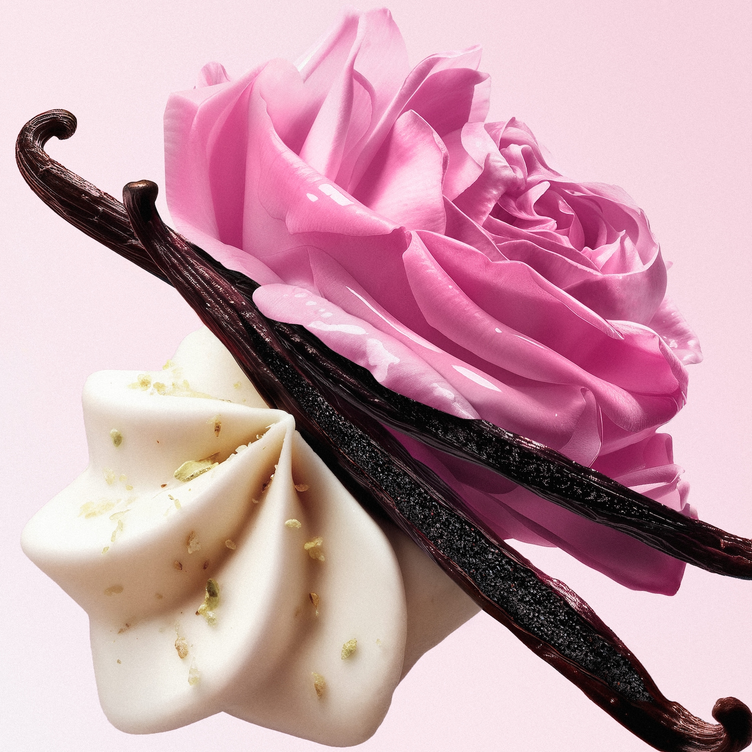 BRAND HIGHLIGHT_2.jpg