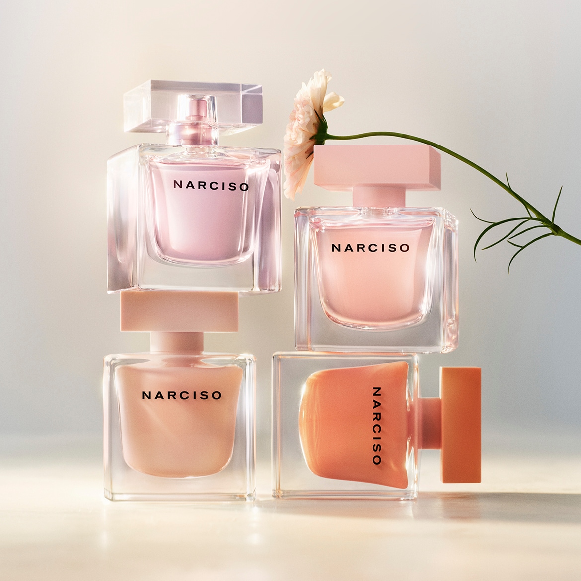 BRAND HIGHLIGHT_NARCISO_WK26-27.jpg