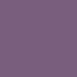 10 - VIOLA SHIM