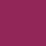 8 - FLASHY PINK