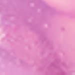 04 - STRAWBERRY SPLASH