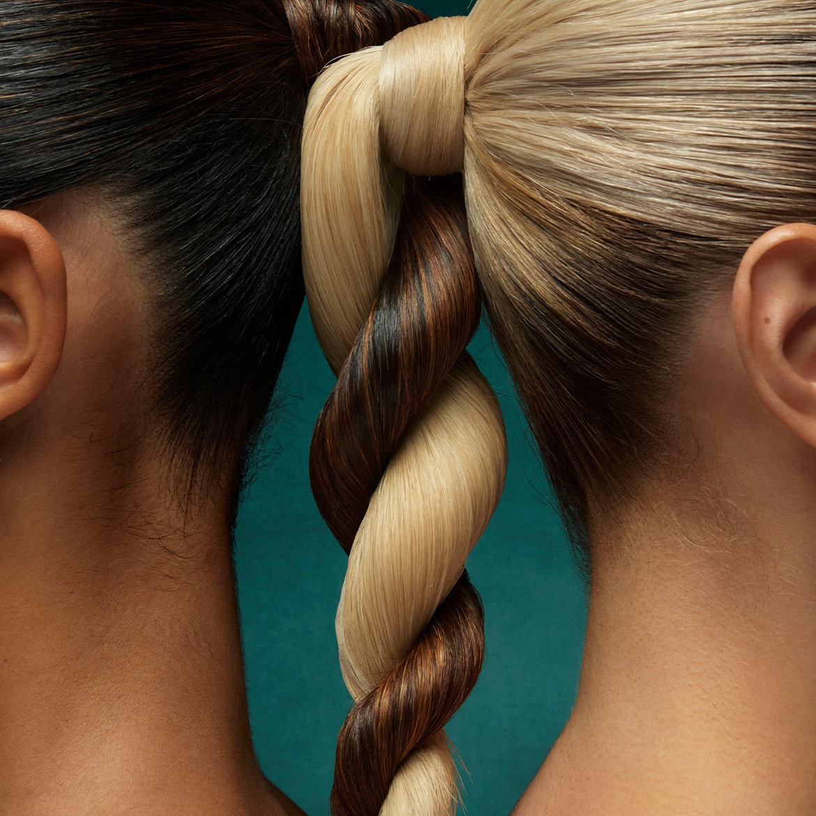 Primo piano di due persone con capelli biondi e castani intrecciati a forma di corda, che mostra l'unione di colori e stili diversi.