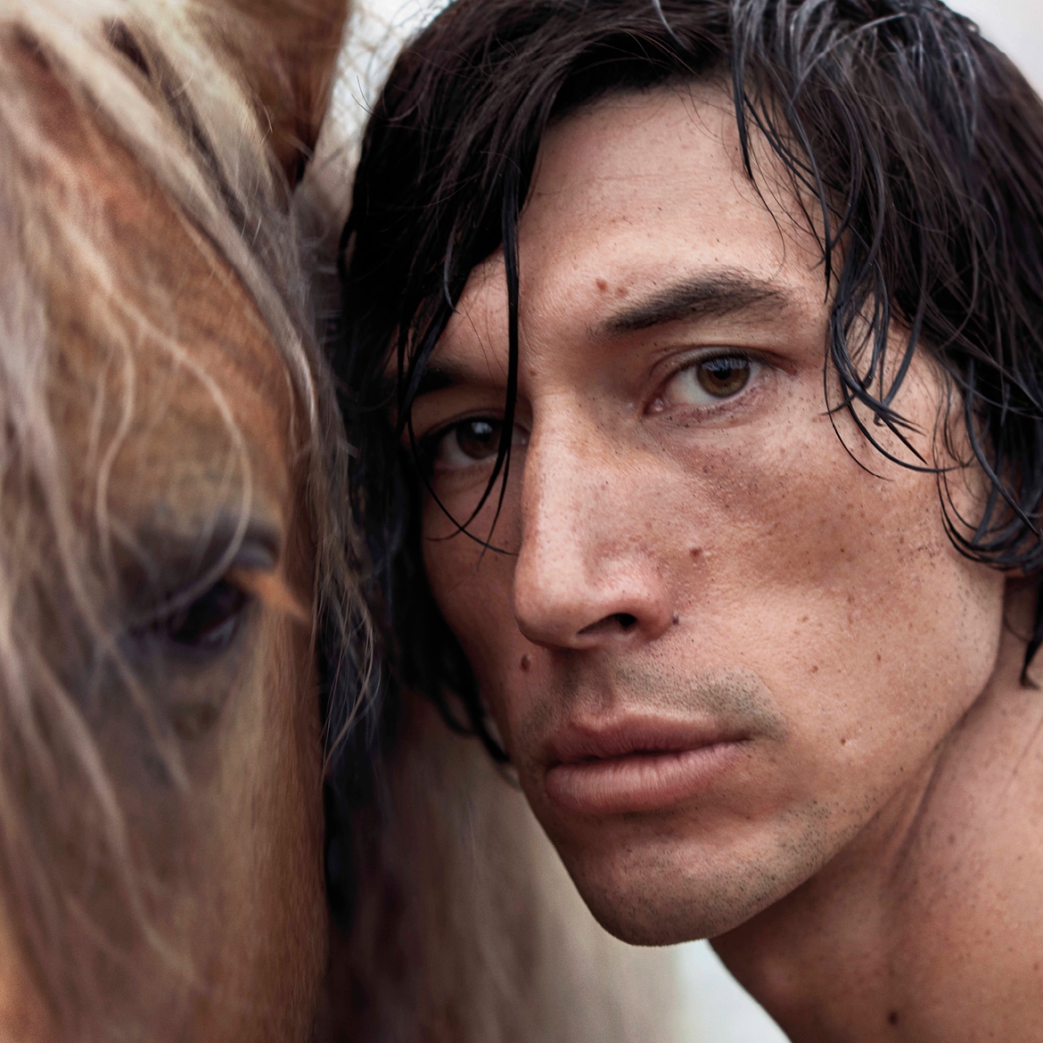 Primo piano di un uomo dai capelli scuri e bagnati, con lo sguardo intenso rivolto verso l'obiettivo, affiancato dal muso di un cavallo dal manto chiaro.