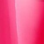 ISLL60 - DUTCH TULIPS