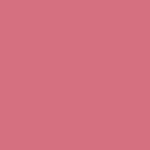01 - PINK LADY