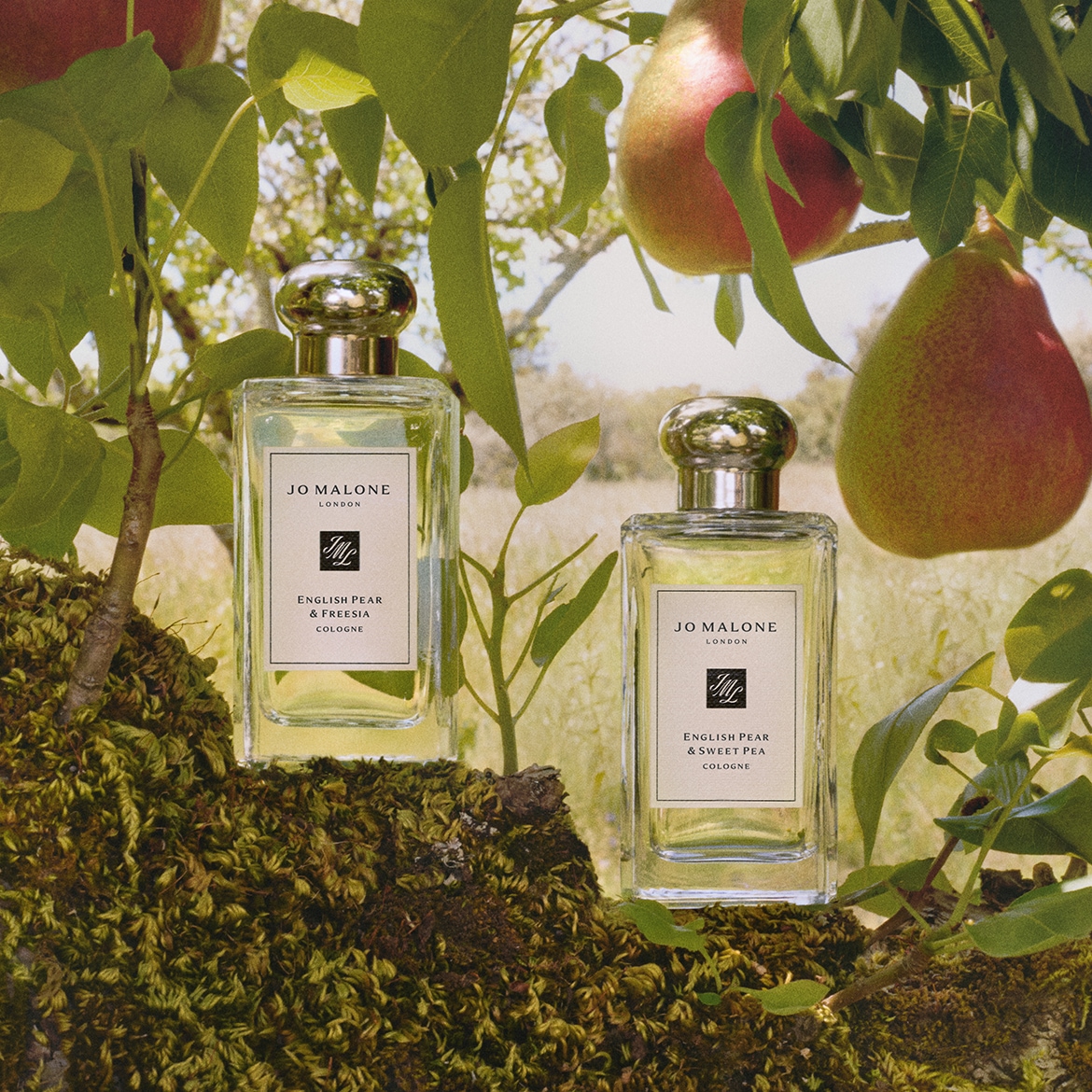 JML_English-Pear_Campaign_Cologne-100ml_English-Pear-Sweet-Pea-Freesia_Brand Highlights 1170x1170.jpg