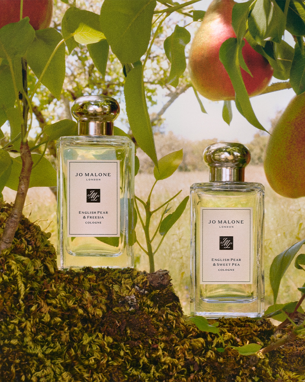 JML_English-Pear_Campaign_Cologne_Reco Teaser 1200x1500.jpg.jpg