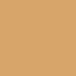 17 - MEDIUM 17 OLIVE