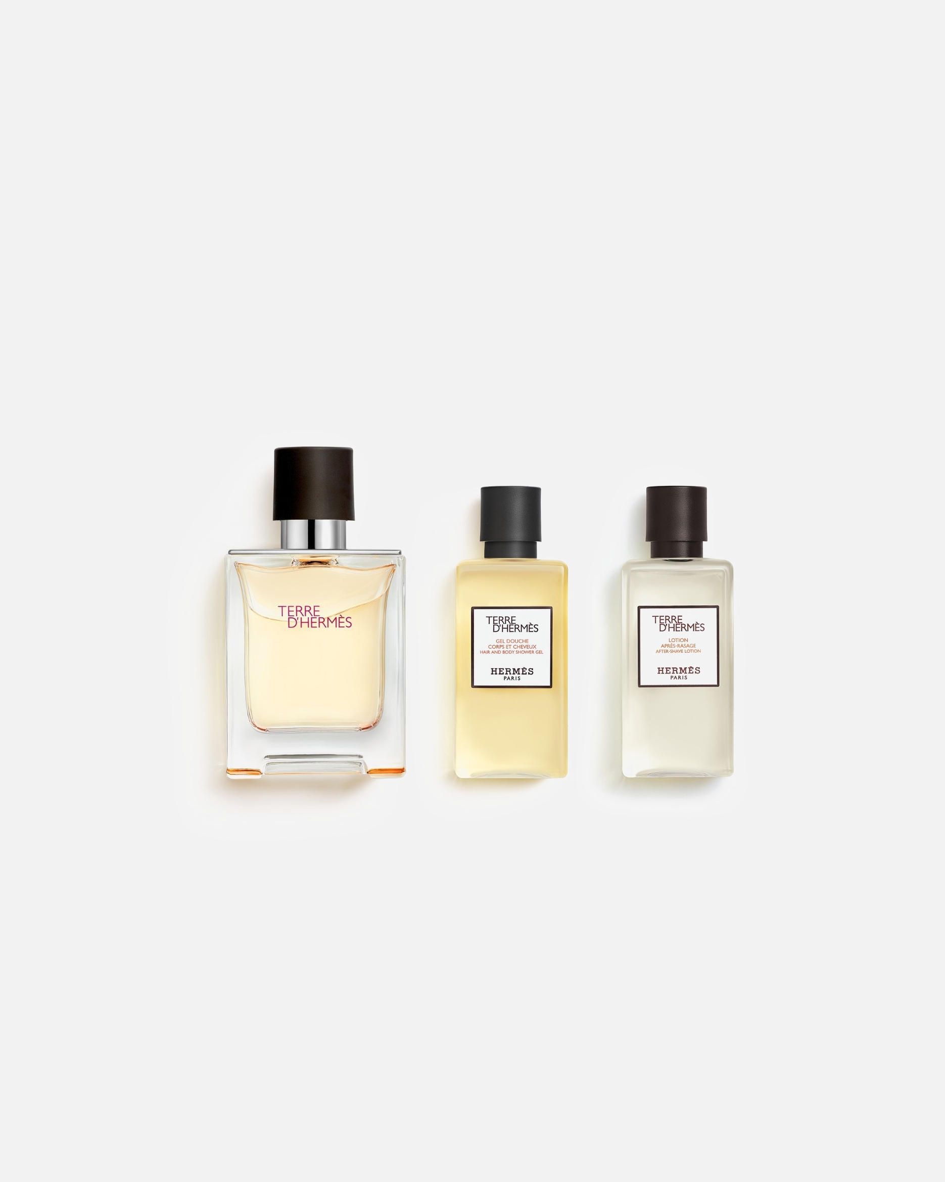 Set di fragranze di Maschio HERMÈS Terre d’Hermès Cofanetto uomo 1 pezzo