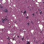 101 Purple Crash