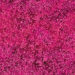 100 Irriverent Fuchsia