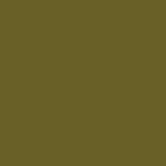 Ever Green