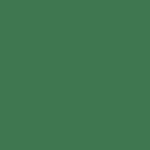 105 - GREEN KAJAL