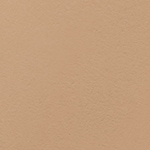 35 - BISQUE N - Travel Size