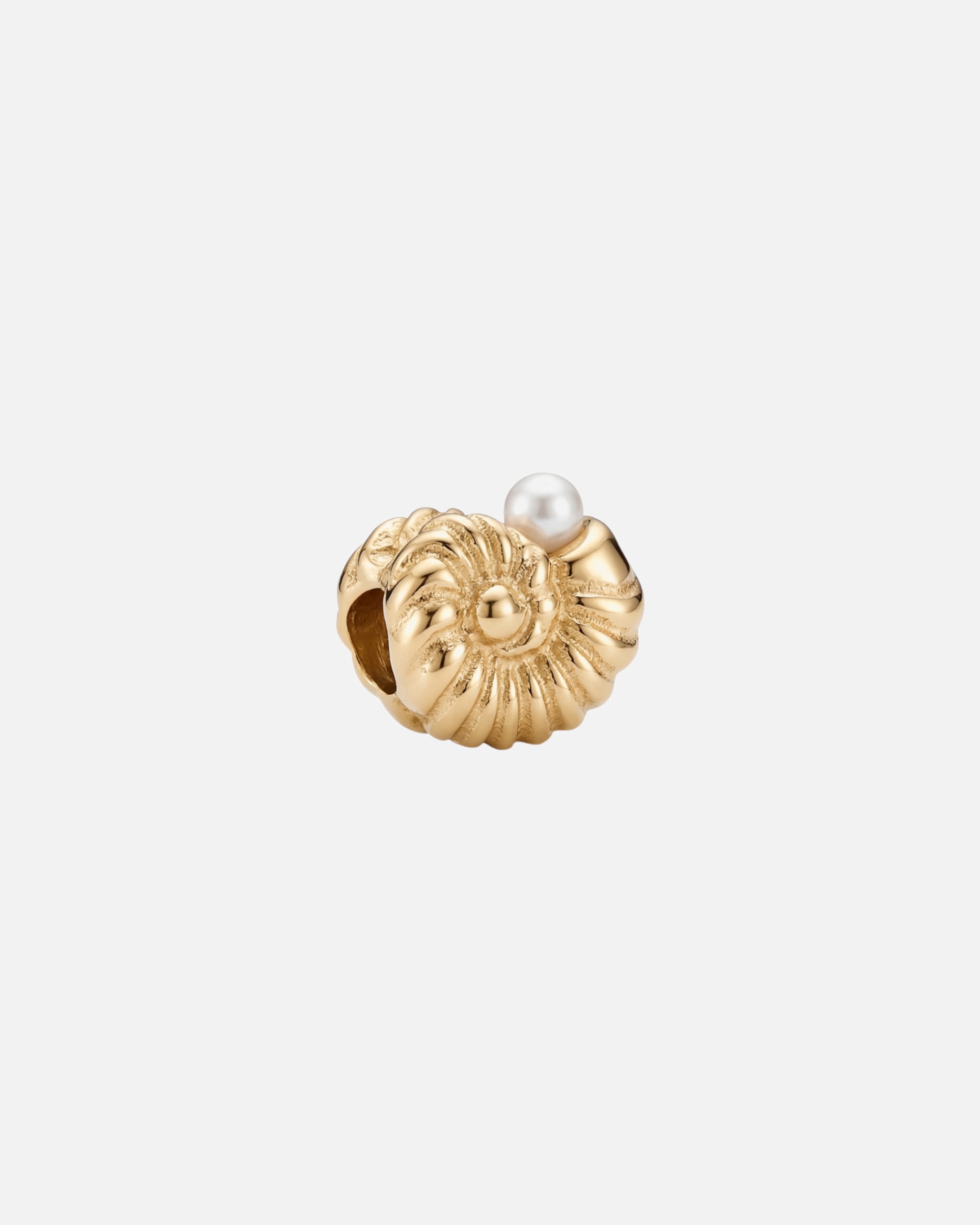 Pendente di Unisex Purelei LEI Nautilus Ciondolo 100% acciaio inossidabile Oro