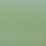 499 - GREEN ANTI RED PATCHES