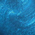 Do You Sea What I Sea?