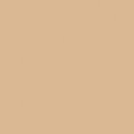 Light Neutral 3 - LN3